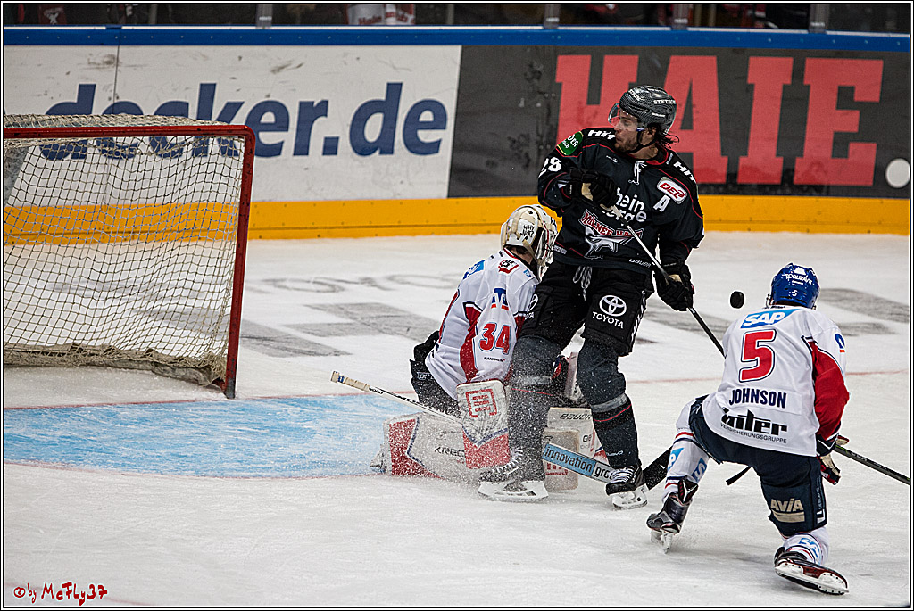 DEL, Koelner Haie - Adler Mannheim, 05.02.2017